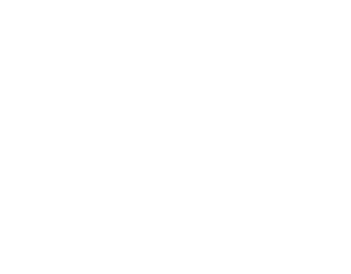 The Imageworks